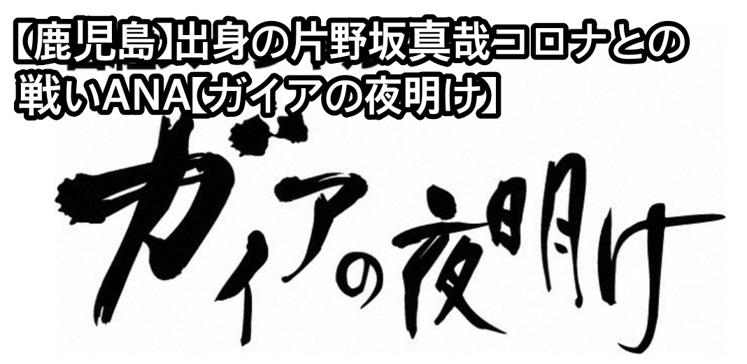 米倉涼子の年収がヤバイ 収入源やギャラ相場など 趣味や資産も調べてみた 女性が映えるエンタメ ライフマガジン