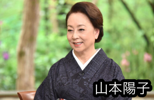 現在の年齢は 若い頃に山本陽子が結婚をしなかった理由とは えつなんニュース Com