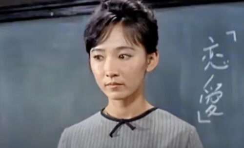 美人過ぎる若い頃 芦川いづみの最近の活動は 和製ヘップバーン えつなんニュース Com