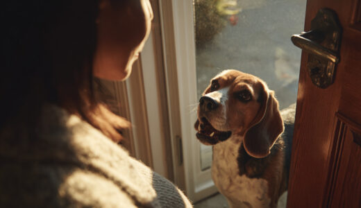 My dog smelled my stomach and stopped moving.
It was only when I saw the pale face of my doctor that I realized what it meant.