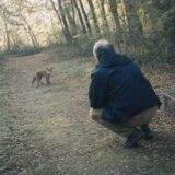 I Found a Fox Kit Collapsed on the Path and Took It Home. For a Month After I Released It, Something Was Left at My Front Door Every Single Morning